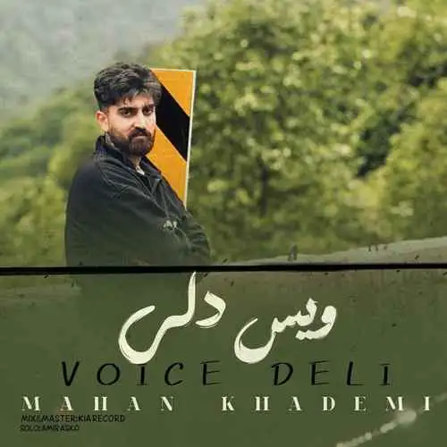 دلی